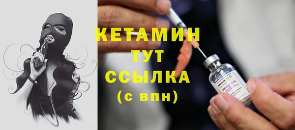 мет Ельня
