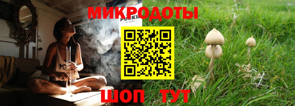 Бийск  Галлюциногенные грибы Cubensis  Вход с VPN 