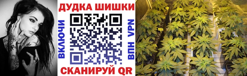 блэк спрут онион это официальный сайт Шишки марихуана сатива Бийск
